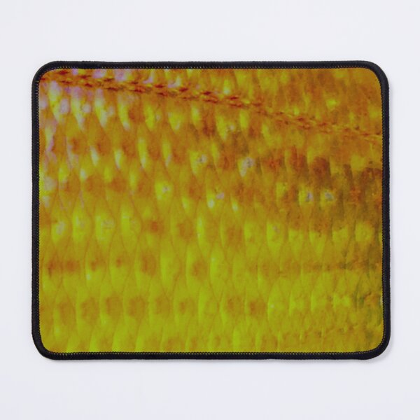 Item preview, Golden Porgy Skin designed and sold by CJRPics.