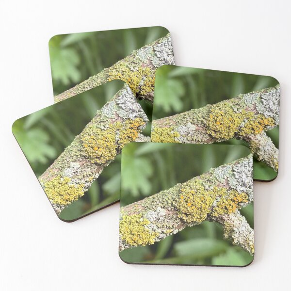 Item preview, Lotta Lichen designed and sold by emikat-art.