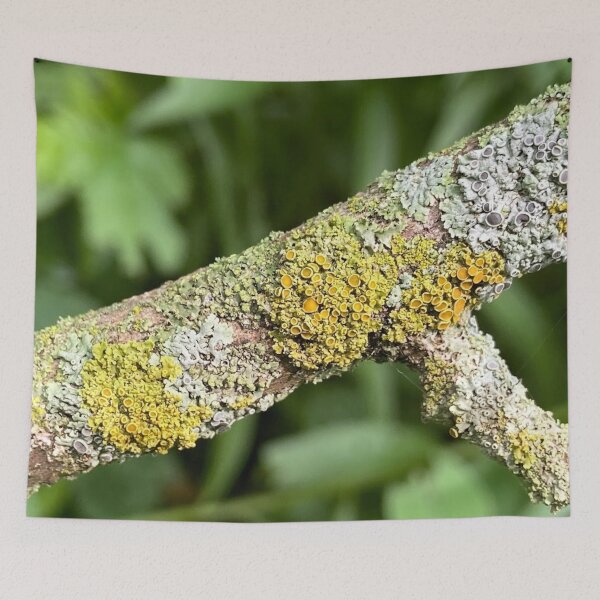 Item preview, Lotta Lichen designed and sold by emikat-art.