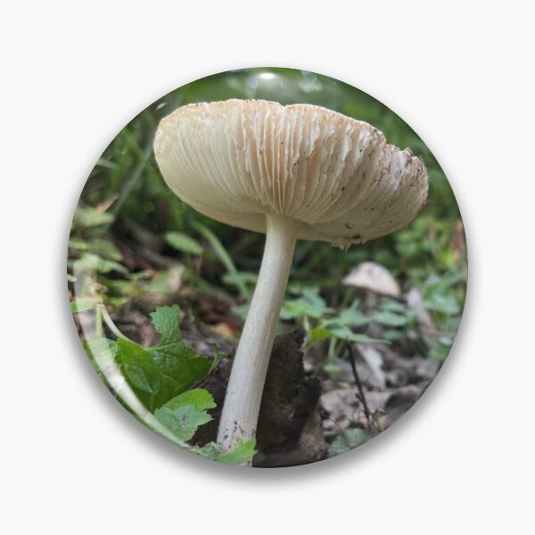 Item preview, Lone Mushroom designed and sold by emikat-art.