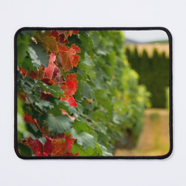 Item preview, Autumn Comes to the Vineyard designed and sold by Mullwell Photography.