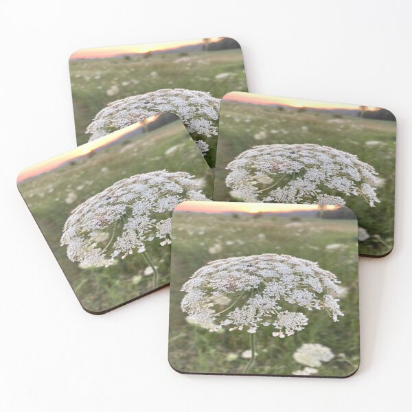 Item preview, Wildflowers Sunset Landscape Photograph designed and sold by Bridget Swanson.