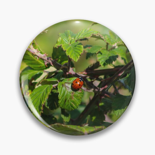 Item preview, A Spot In Nature designed and sold by KLloydPhotos.