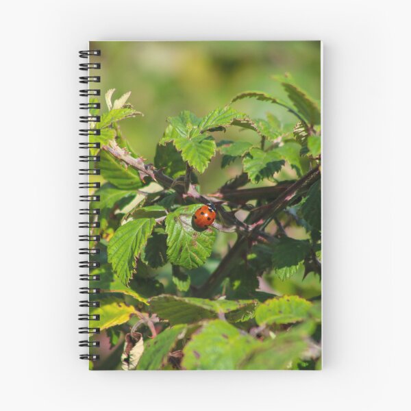 Item preview, A Spot In Nature designed and sold by KLloydPhotos.