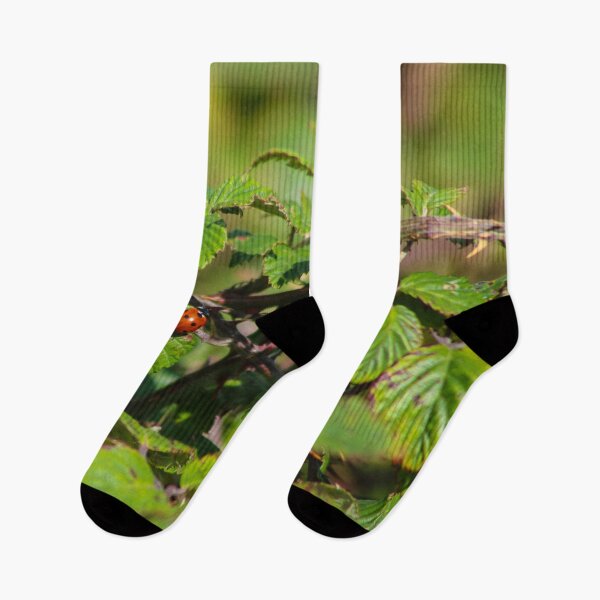 Item preview, A Spot In Nature designed and sold by KLloydPhotos.
