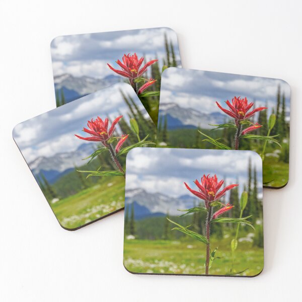 Item preview, Red Paintbrush on Mount Revelstoke designed and sold by Mullwell Photography.