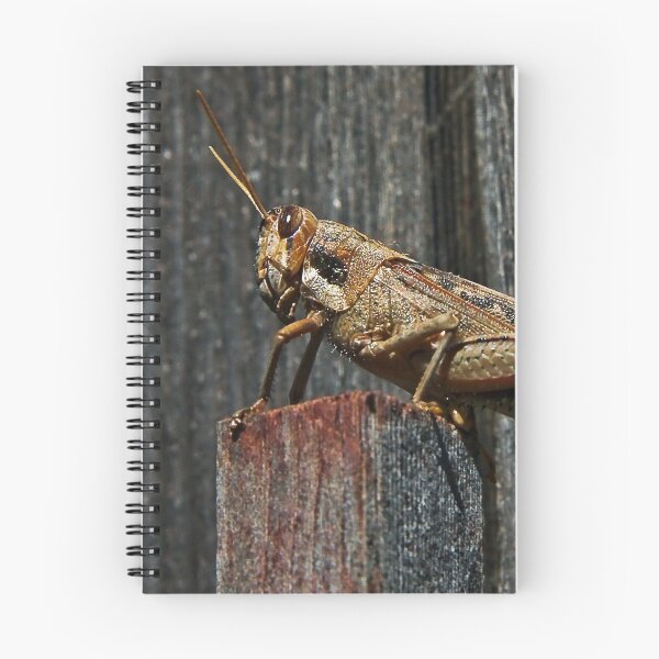 Item preview, Gregory the Grasshopper King 2 designed and sold by heatherfriedman.