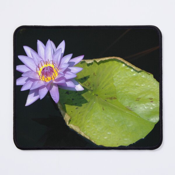 Item preview, Duality designed and sold by okomedesign.