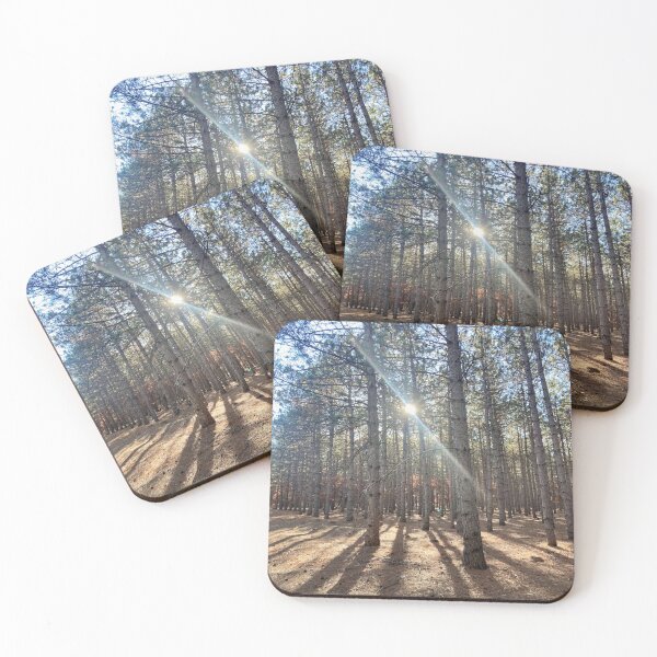 Item preview, Forest Hike  designed and sold by Bridget Swanson.
