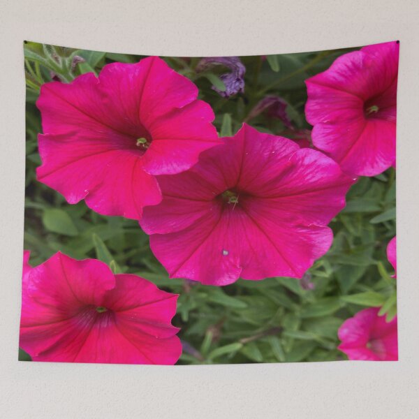 Item preview, Pink Petunias designed and sold by Bridget Swanson.