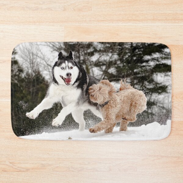 Item preview, Two different color eyes Siberian Husky plays with other dog in the Snow designed and sold by myhuskymax.
