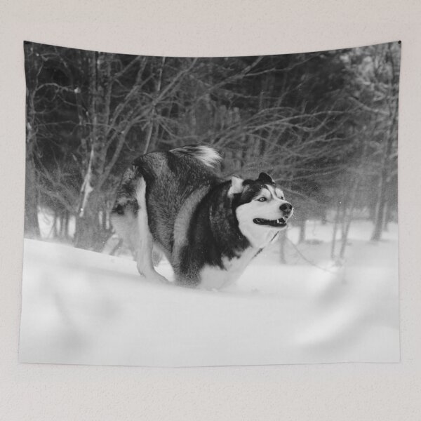 Item preview, Siberian Husky Jumps Right into the Heavy Snow Black and White designed and sold by myhuskymax.