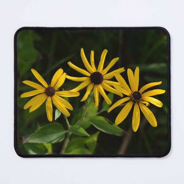 Item preview, Sunny Trio of Flowers designed and sold by mmcpix.
