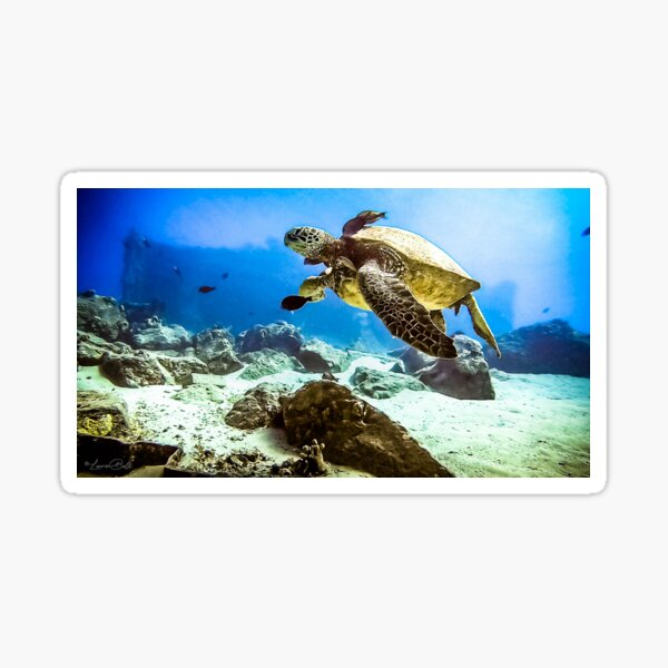 Item preview, Underwater Sea Turtle designed and sold by laubal20.