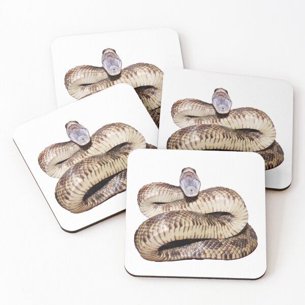 Item preview, Spicy Rat Snake designed and sold by Inverts-n-More.