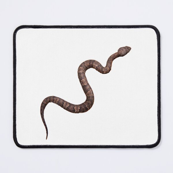 Item preview, Cottonmouth designed and sold by Inverts-n-More.