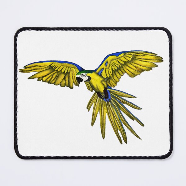 Item preview, Blue and Yellow Macaw Drawing designed and sold by ArtAndBliss.