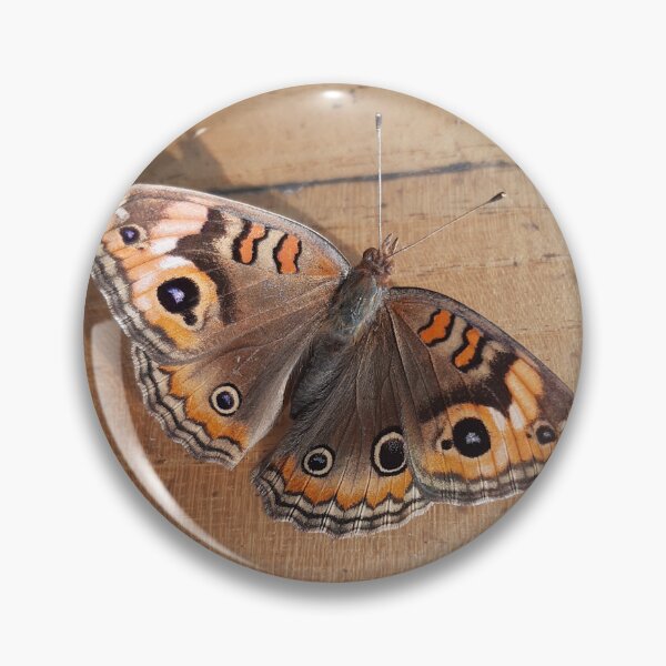 Item preview, Four Eyed Butterfly designed and sold by Gege-16.