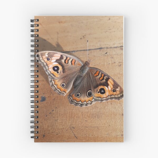 Item preview, Four Eyed Butterfly designed and sold by Gege-16.