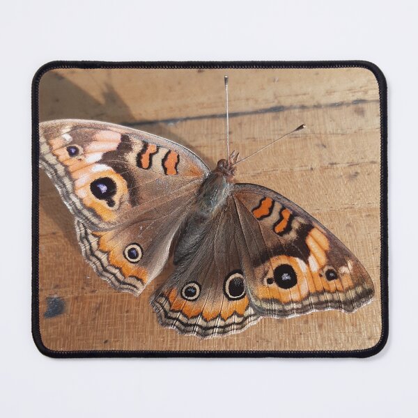 Item preview, Four Eyed Butterfly designed and sold by Gege-16.