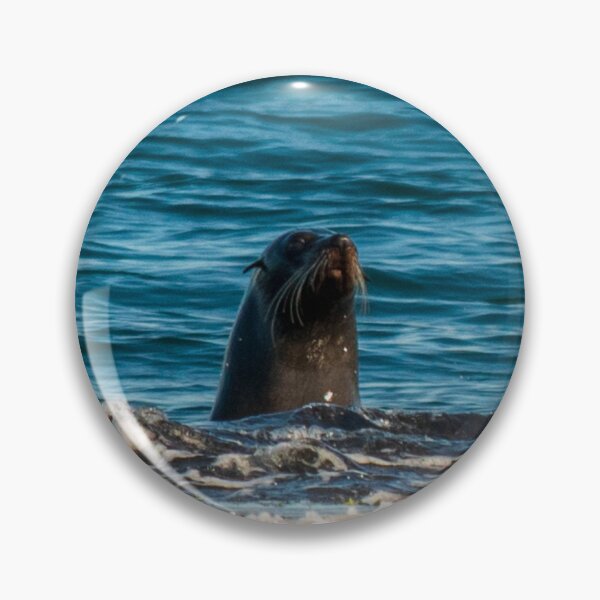 Item preview, Seal Putty Beach 1 designed and sold by suziq1962.