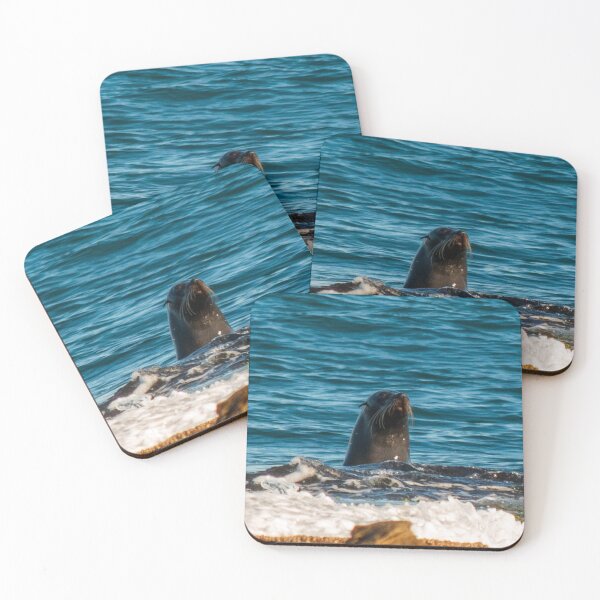 Item preview, Seal Putty Beach 1 designed and sold by suziq1962.