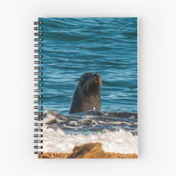 Item preview, Seal Putty Beach 1 designed and sold by suziq1962.