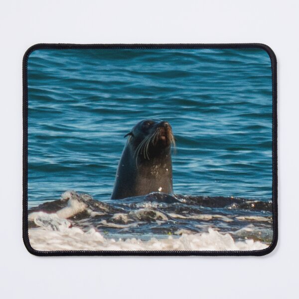 Item preview, Seal Putty Beach 1 designed and sold by suziq1962.