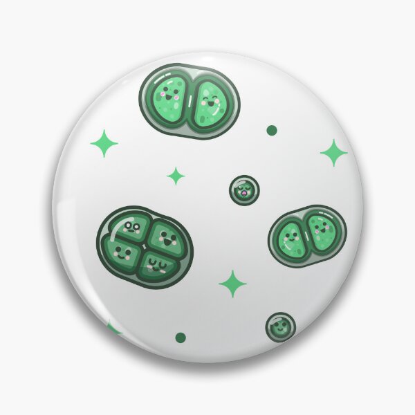 Item preview, Cyanobacteria cute cartoon, Chroococcus, Blue-green algae art, Microalgae drawing designed and sold by thurakitdew.
