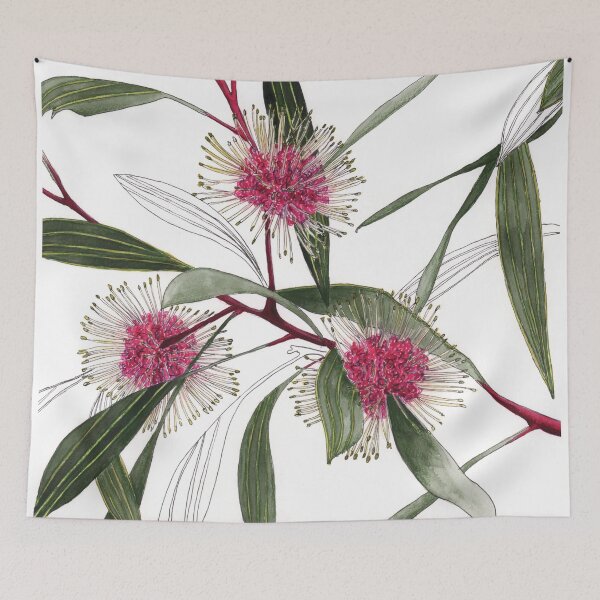 Item preview, Hakea Pin Cushion pink flora designed and sold by blueidesign.