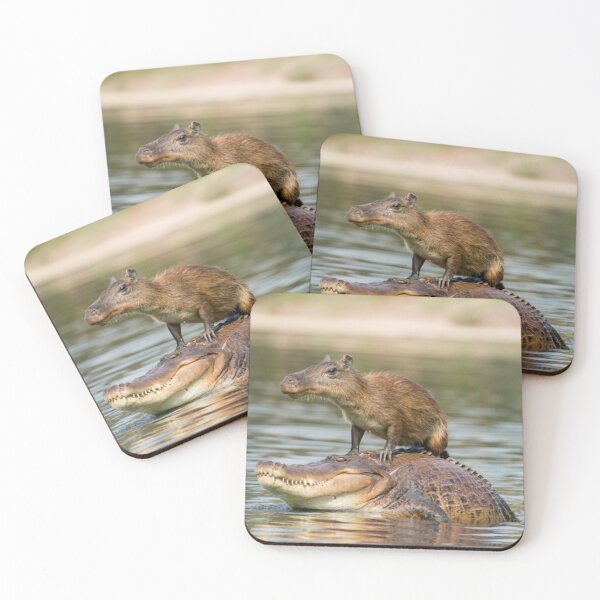 Item preview, Capybara on alligator designed and sold by PawelNature.