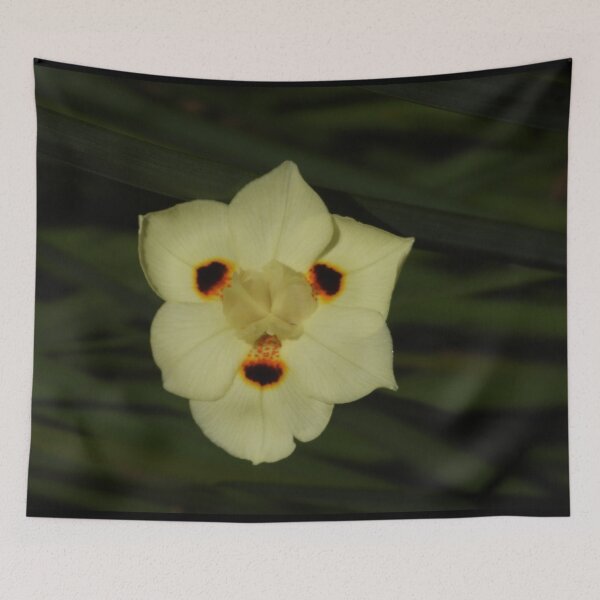 Item preview, Dietes bicolor Flower designed and sold by Linda Sijpkes.