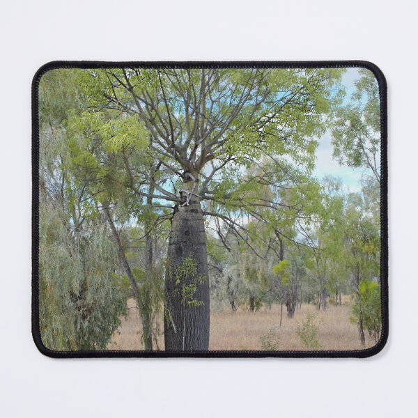 Item preview, Bottle tree designed and sold by Kerry LeBoutillier.