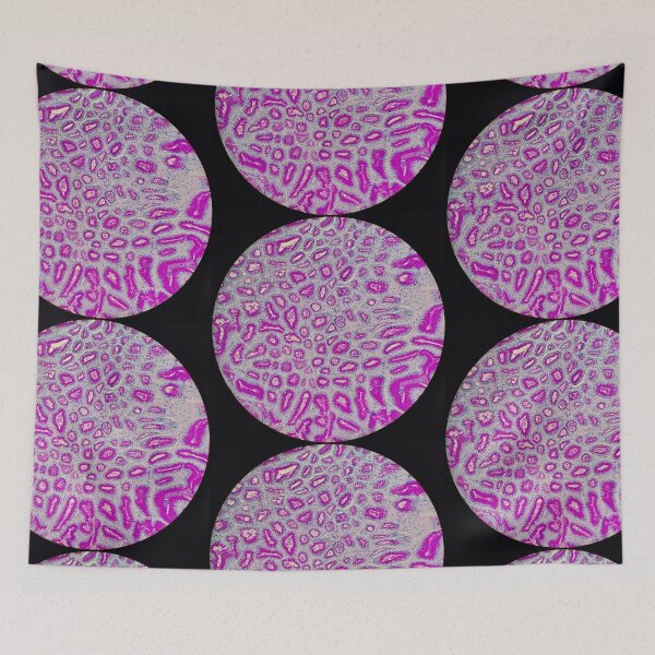 Item preview, Stomach histology, PAS stain, 20x designed and sold by Psymier.