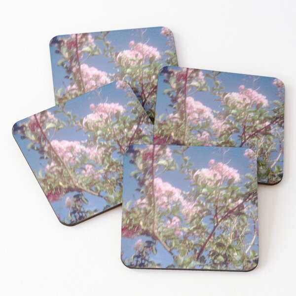 Item preview, Warwick flowers 110mm film photography designed and sold by Dominique Tassell.