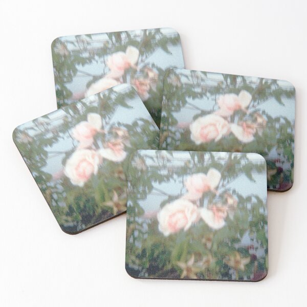 Item preview, Warwick roses 110mm film photography designed and sold by Dominique Tassell.