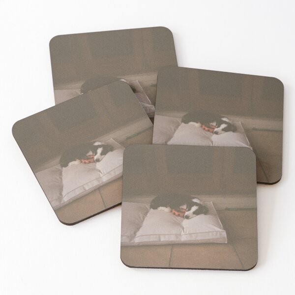 Item preview, Hazel the Border Collie on 35mm film designed and sold by Dominique Tassell.