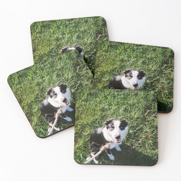 Item preview, Hazel the Border Collie on 35mm film designed and sold by Dominique Tassell.