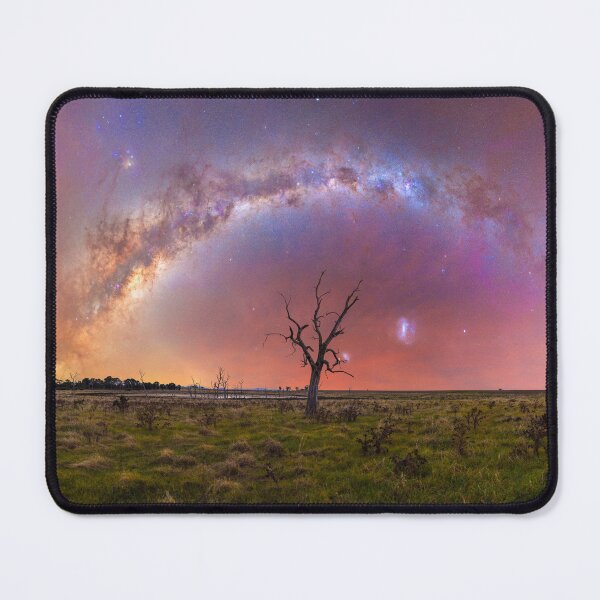 Item preview, Lone Tree designed and sold by BFPHOTO.
