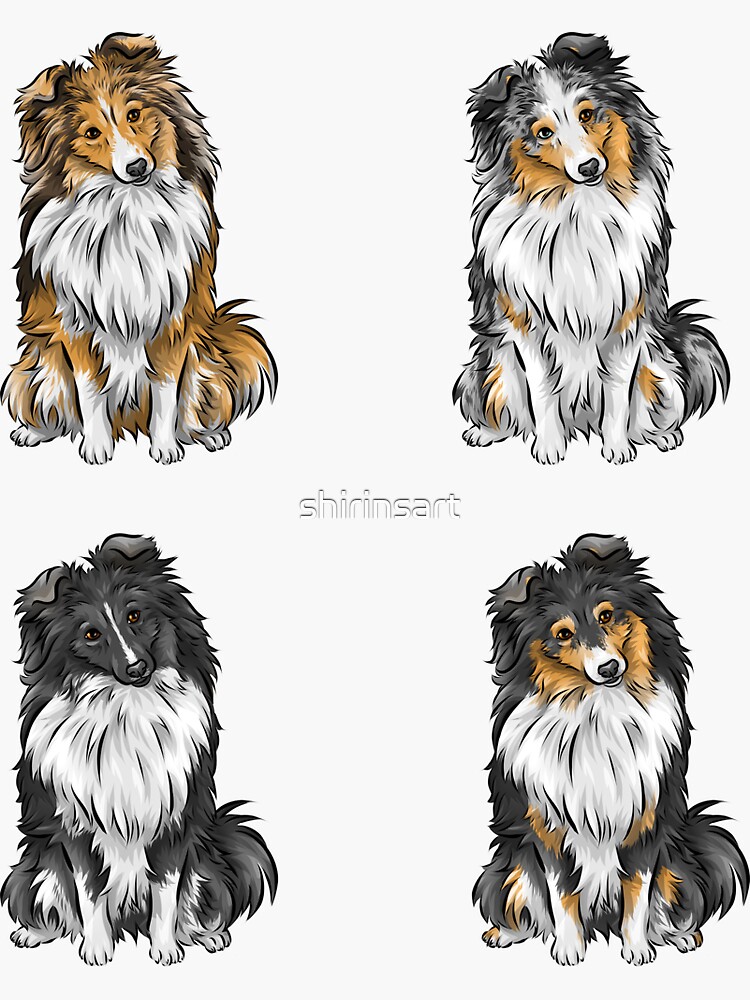 Shetland Sheepdog Sheltie Collection Sable Blue Merle Tri color Bi Black Sticker for Sale by shirinsart Redbubble