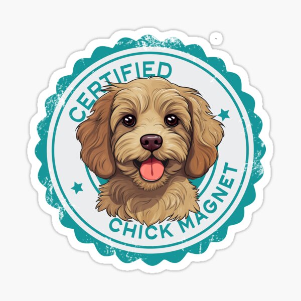 Item preview, Cavapoo Cavoodle Oodle Funny Certified Chick Magnet - Gold designed and sold by wotsthis.