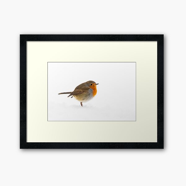 Aperçu de l'œuvre Robin dans la neige créée et vendue par Kay Roxby.