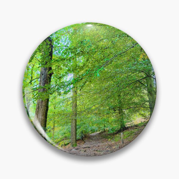 Item preview, Cotswolds Forest Bridleway designed and sold by Graz-Photos.