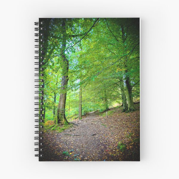 Item preview, Cotswolds Forest Bridleway designed and sold by Graz-Photos.