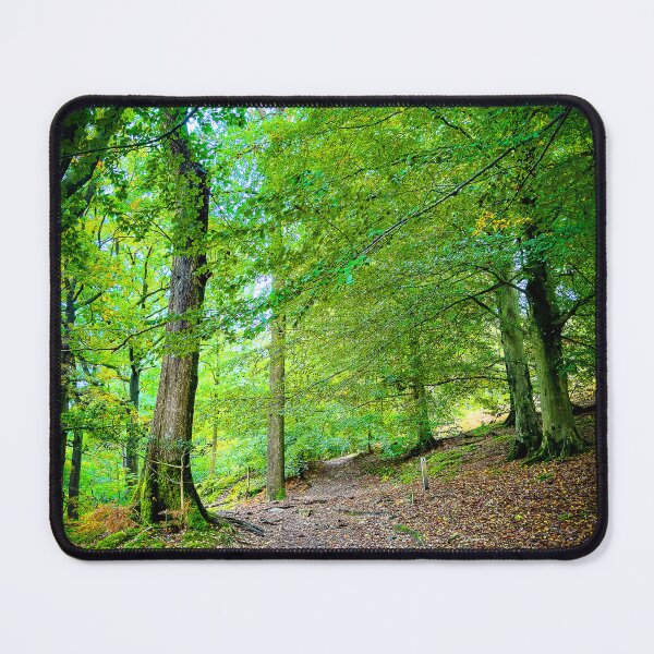 Item preview, Cotswolds Forest Bridleway designed and sold by Graz-Photos.