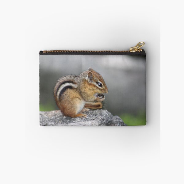 Artikelvorschau, Alvin finds his Nuts! entworfen und verkauft von David "Oz" Osterczy.