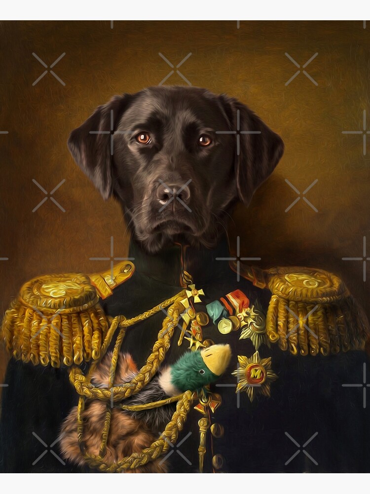 Labrador Portrait - Mambo by carpo17