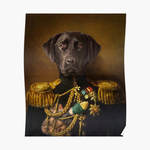 Labrador Portrait - Mambo Poster