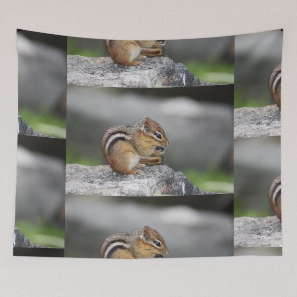 Artikelvorschau, Alvin finds his Nuts! entworfen und verkauft von David "Oz"  Osterczy.