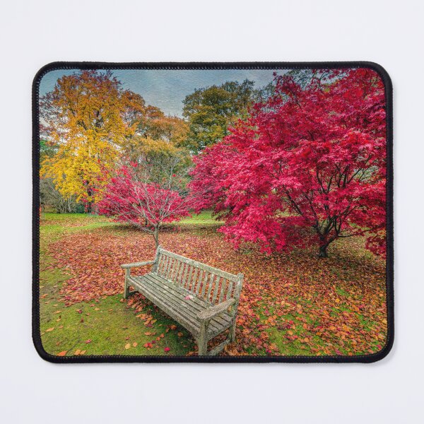 Item preview, Autumn in The Park designed and sold by AJEvans.